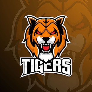 Fnatic